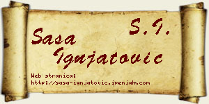 Saša Ignjatović vizit kartica